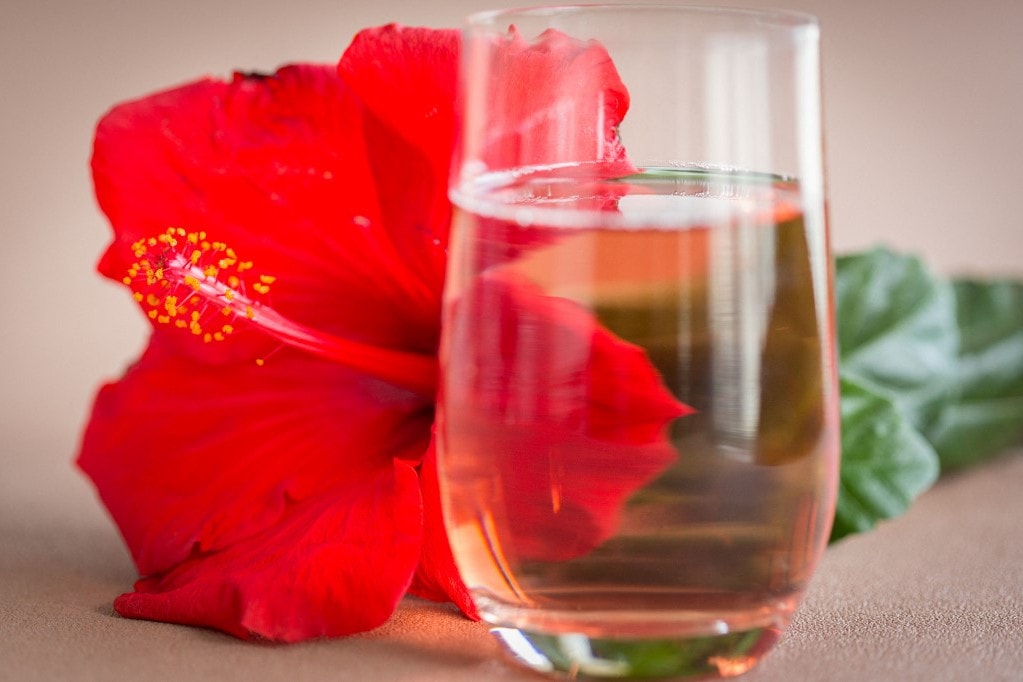 Valóban csökkentheti a hibiszkusz a koleszterinszintet?