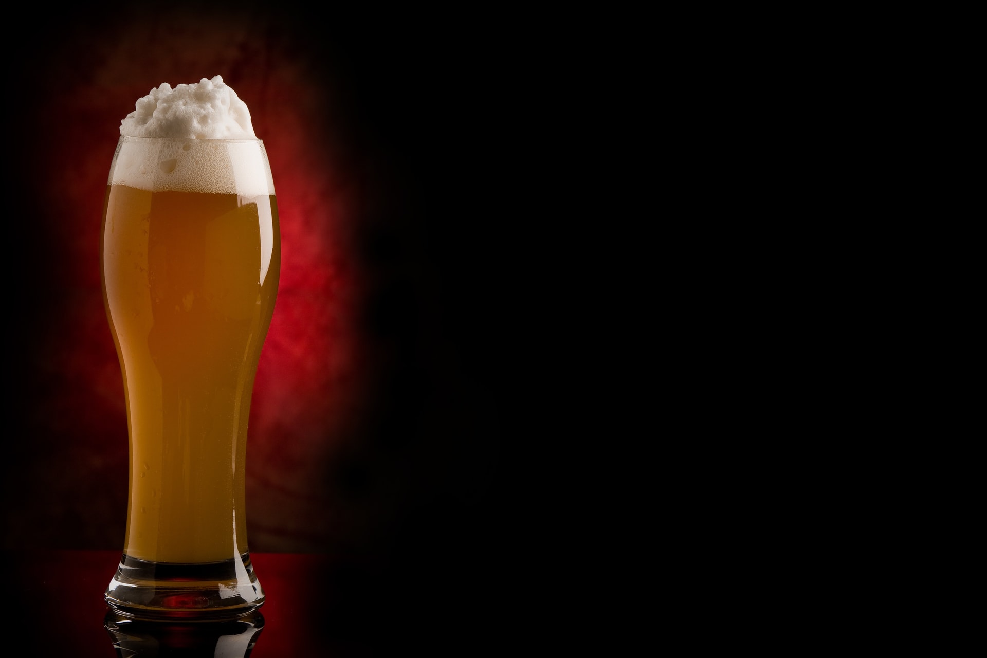 Az alkohol tette lehetővé az emberi civilizáció felemelkedését?