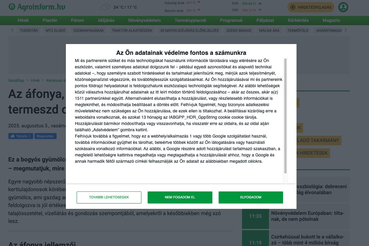 Elfogadja az „összes cookie-t"? Ez veszélyes is lehet.