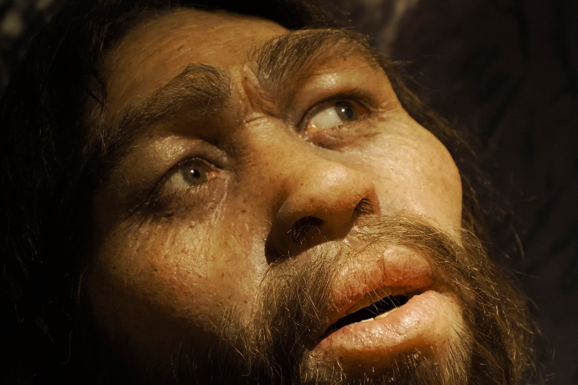 A tudósok egereknek adtak neandervölgyi és gyenyiszovai géneket, teljesen átalakultak az állatok