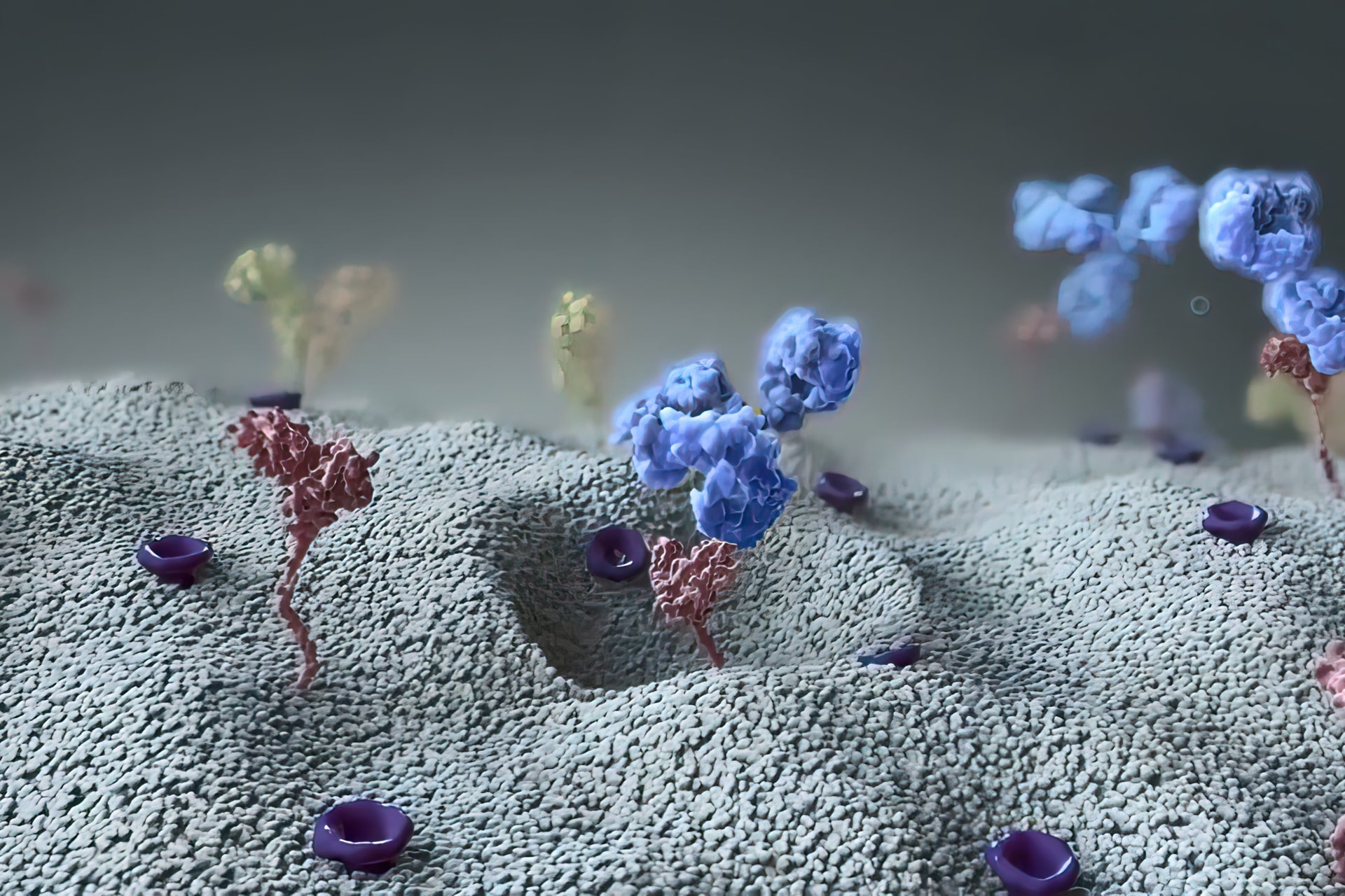Az immunterápia a legfejlettebb fegyver a rák ellen