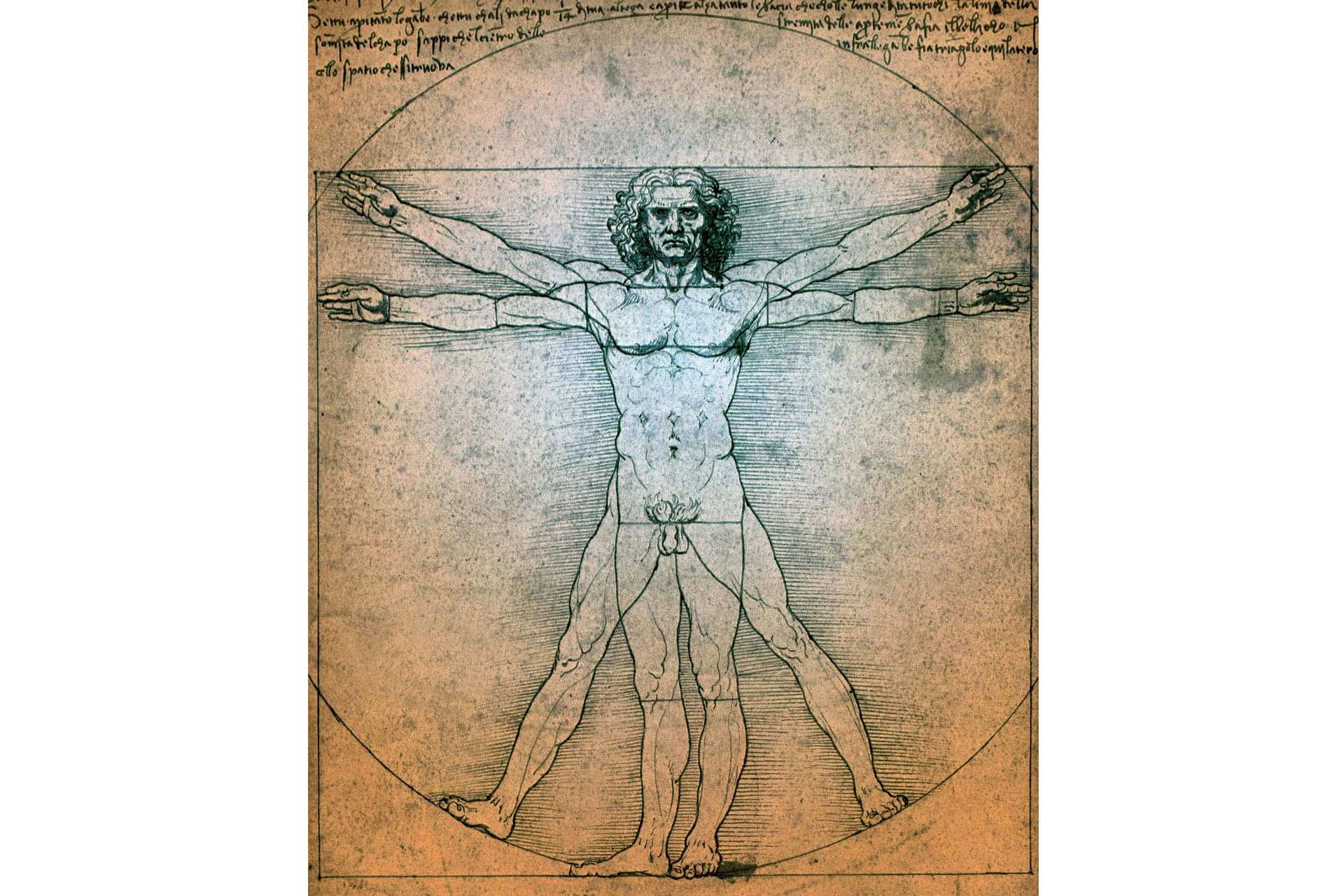 Megoldottak egy 500 éves Da Vinci-rejtélyt