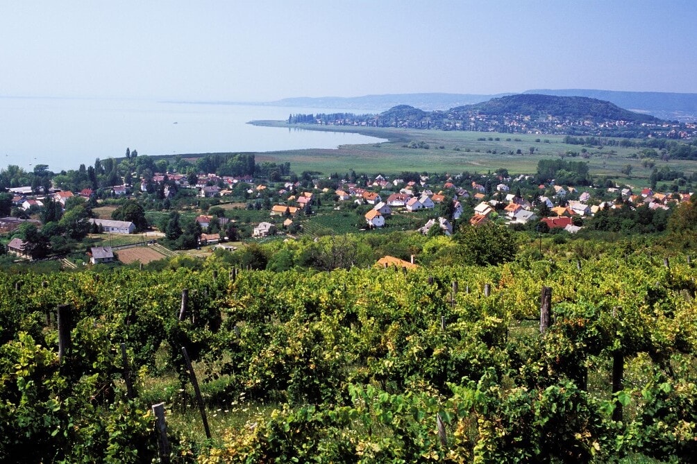  27 embert kellett kimenteni a Balatonból a hétvégén
