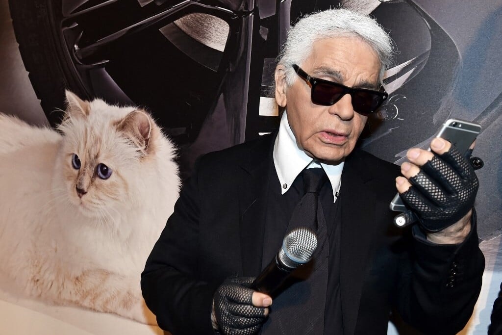 Bajban van a Lagerfeld macska