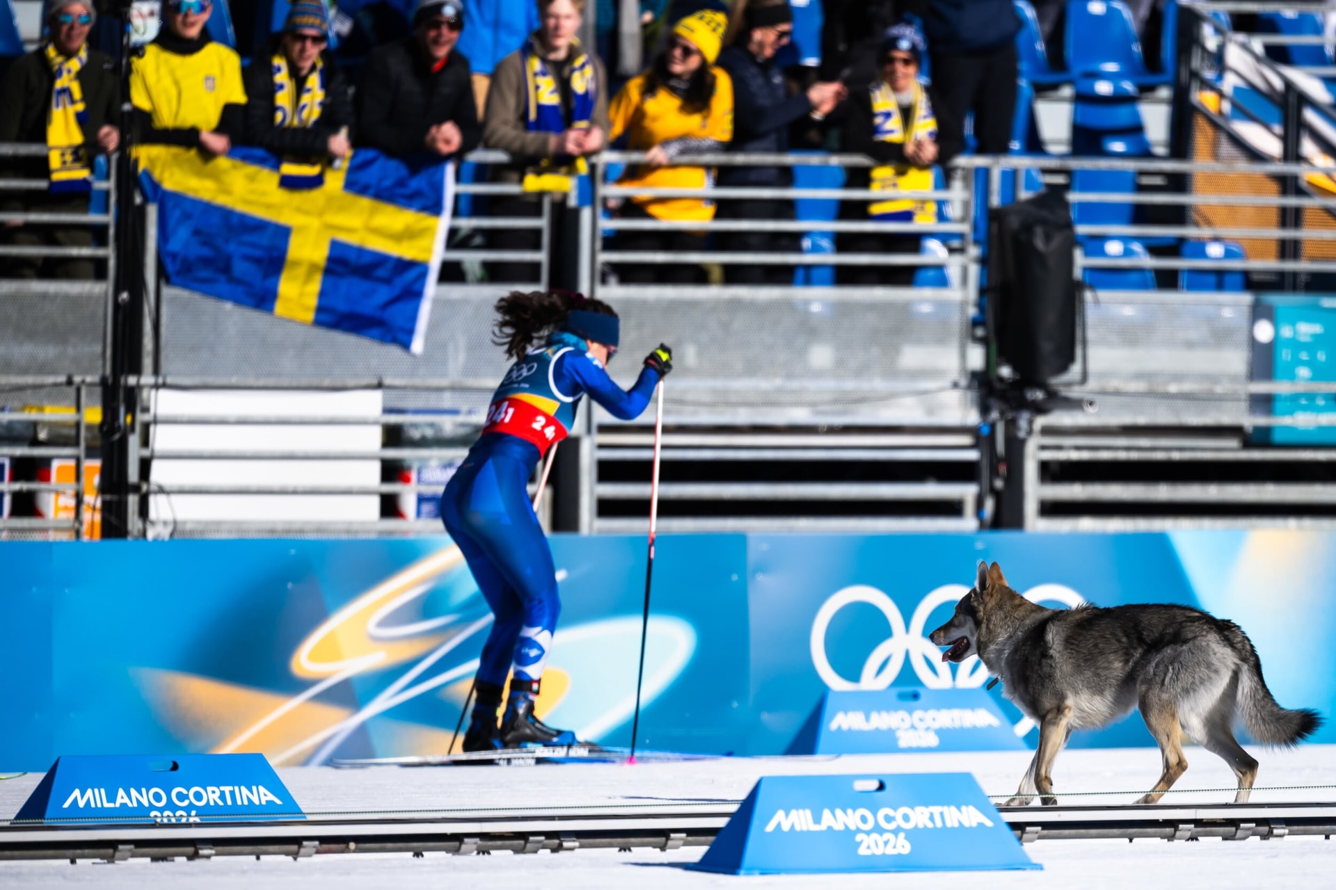 Furcsa és csodálatos történetek a téli olimpiáról