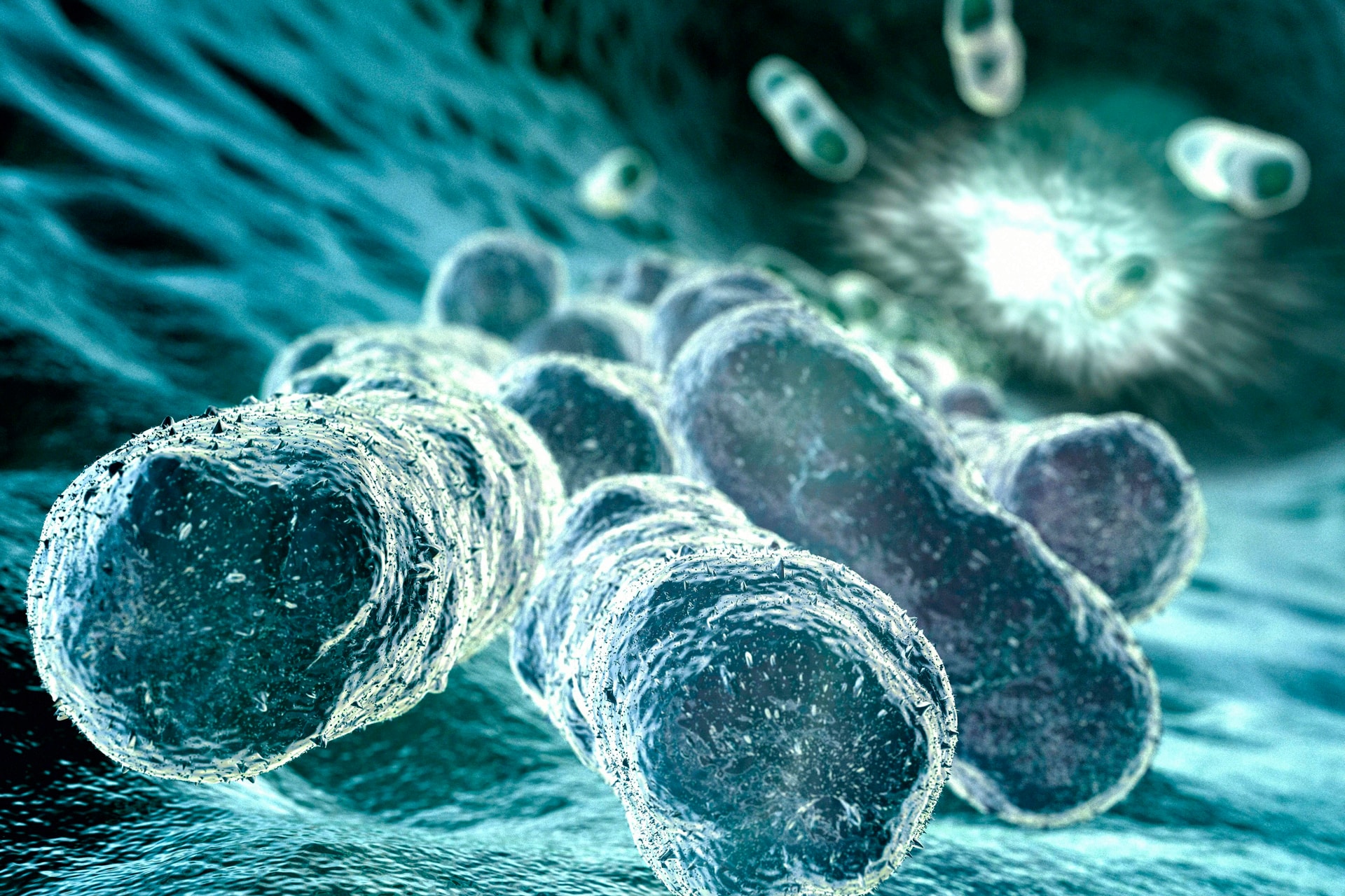 A világ legerősebb mérge. Hogyan lehet ennyire veszélyes a botulinum toxin?