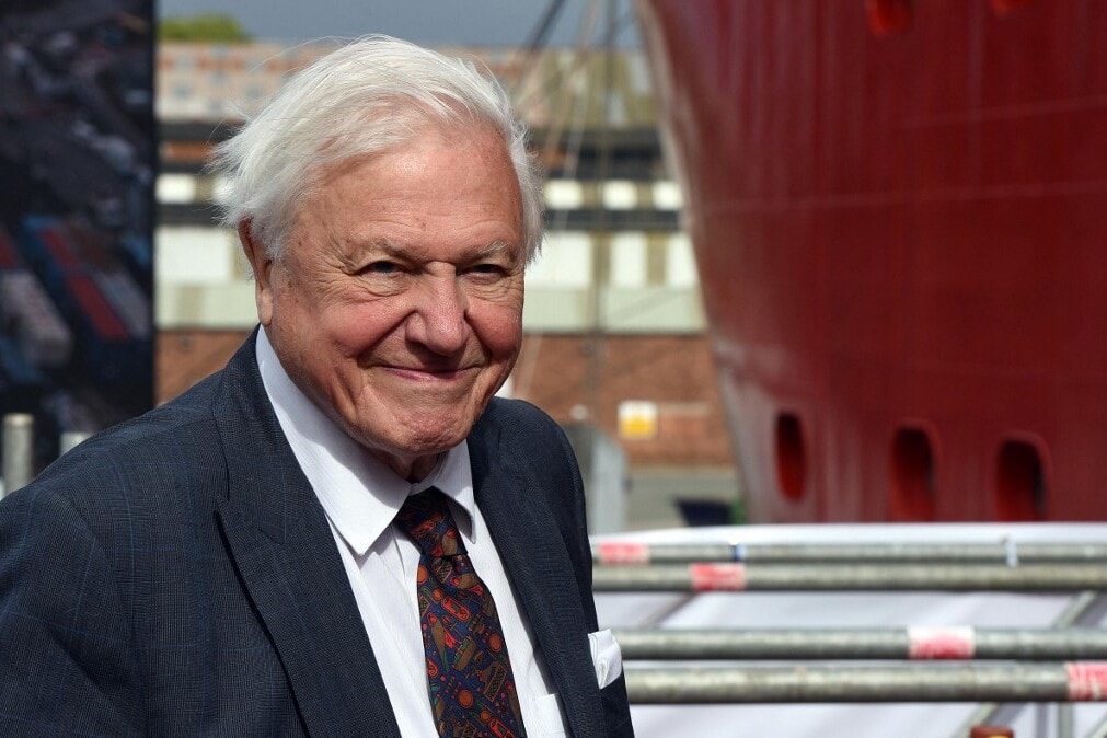 Sir David Attenborough-t ünnepli a világ