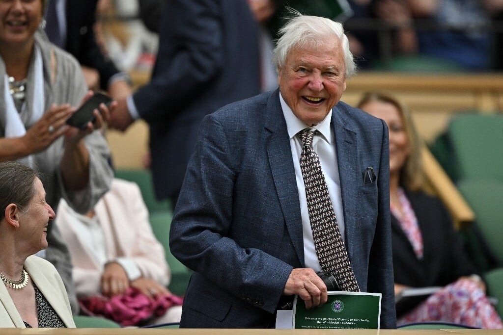 Darázsfajt neveztek el David Attenborough-ról 100. születésnapja alkalmából