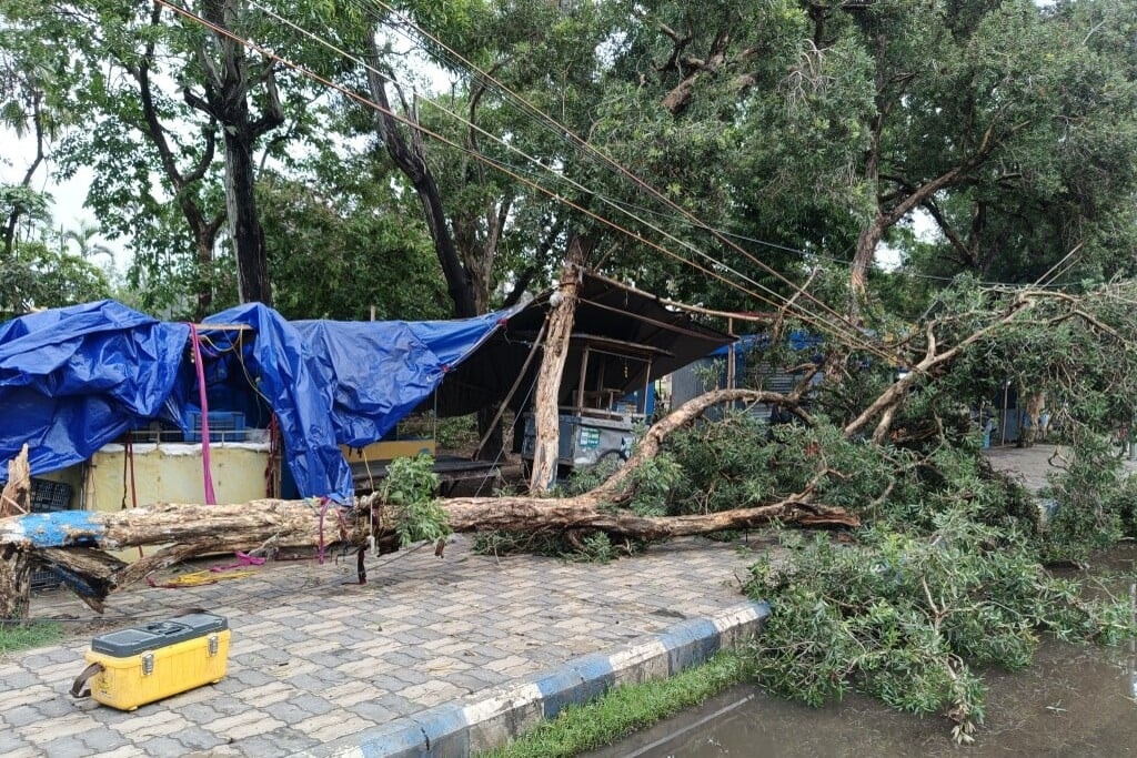 Nem kímélte a heves vihar Indiát