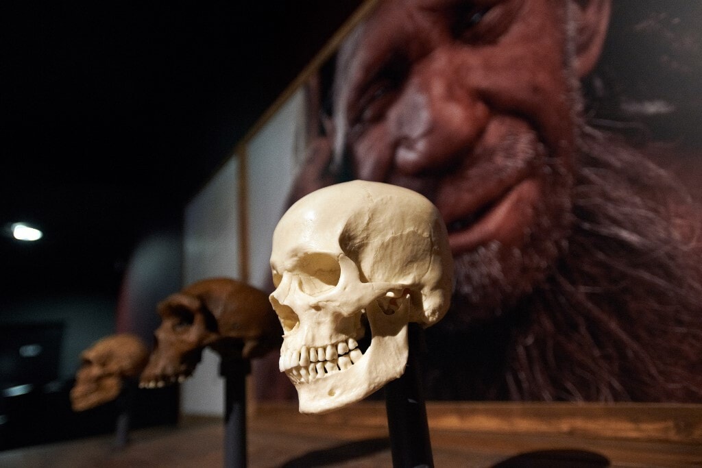 Az „Ördögtornyú gyermek” neandervölgyi koponya mindent megváltoztatott