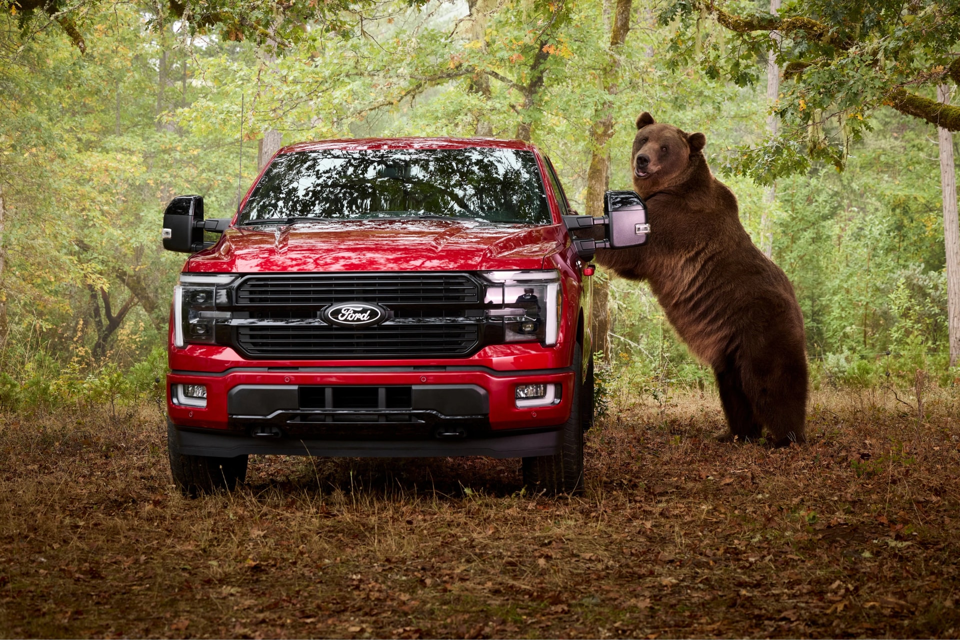 Egy 360 kilós medvével tesztelte a Ford az F-150 Platinum védelmi rendszerét + VIDEÓ