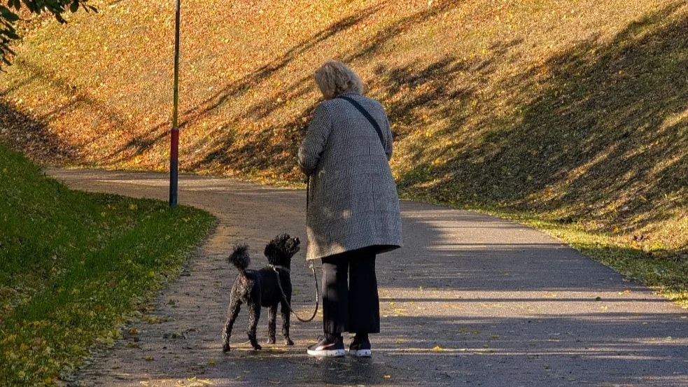 Miért járnak lassabban az idősek?