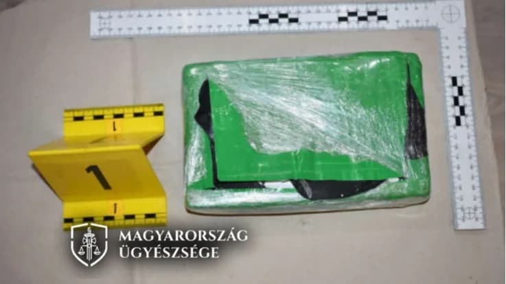 Kokain miatt tartóztattak le egy brit férfit Tatabányán