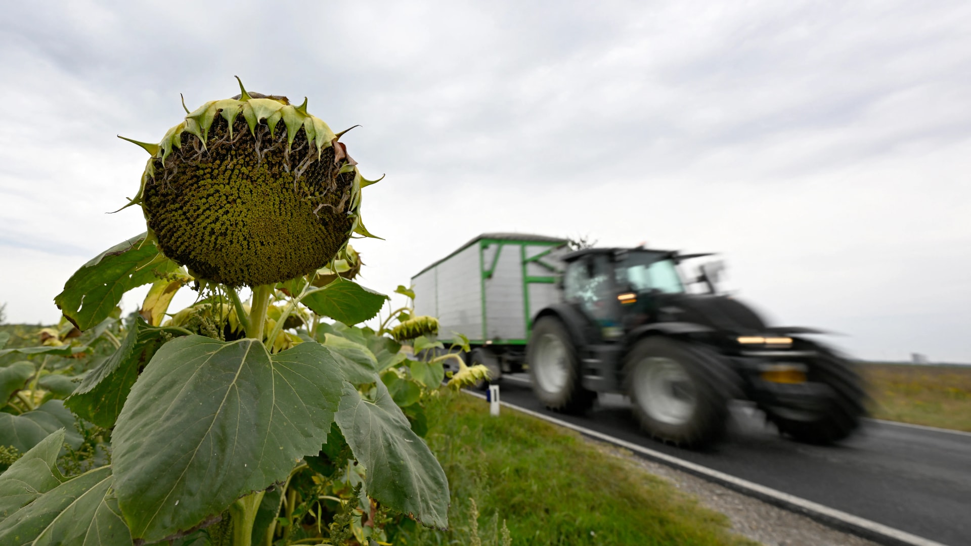 Nem csak az Agrárkamarát kell megmenteni: nagyobb baj van a magyar földeken, mint elsőre látszik