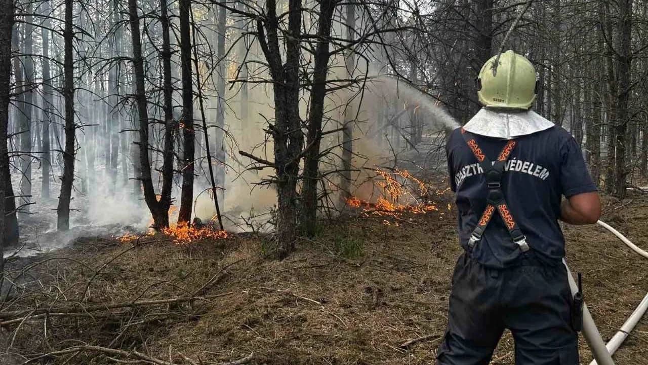 Húsz hektáron lángol az erdő növényzete Nádudvar és a Hortobágy között
