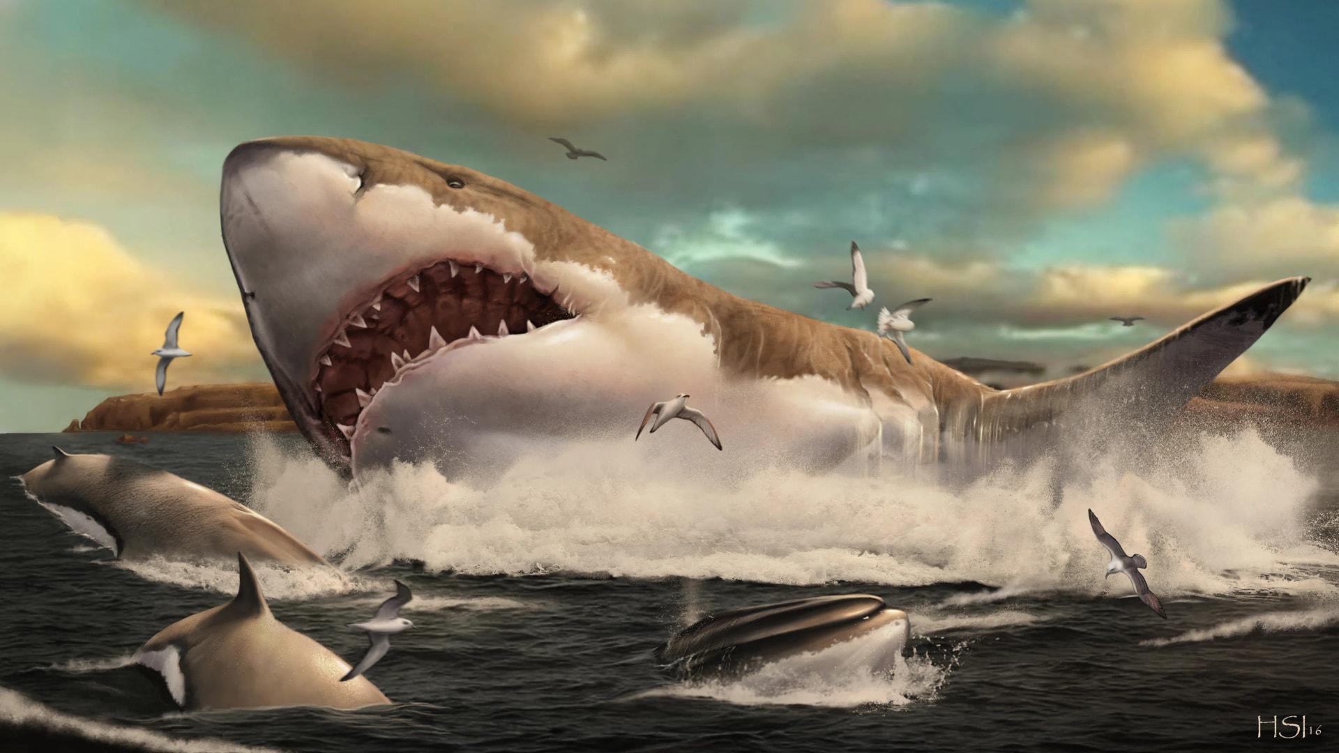 A Megalodon üldözte a bálnákat