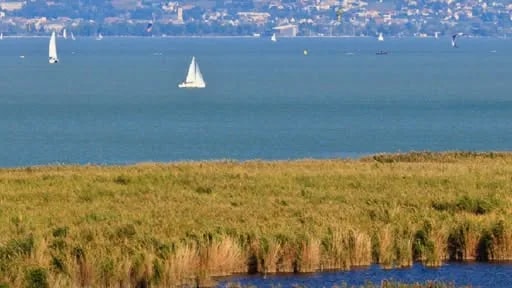 A Fertő-tó partjára nem luxusszálloda és betonrengeteg kell