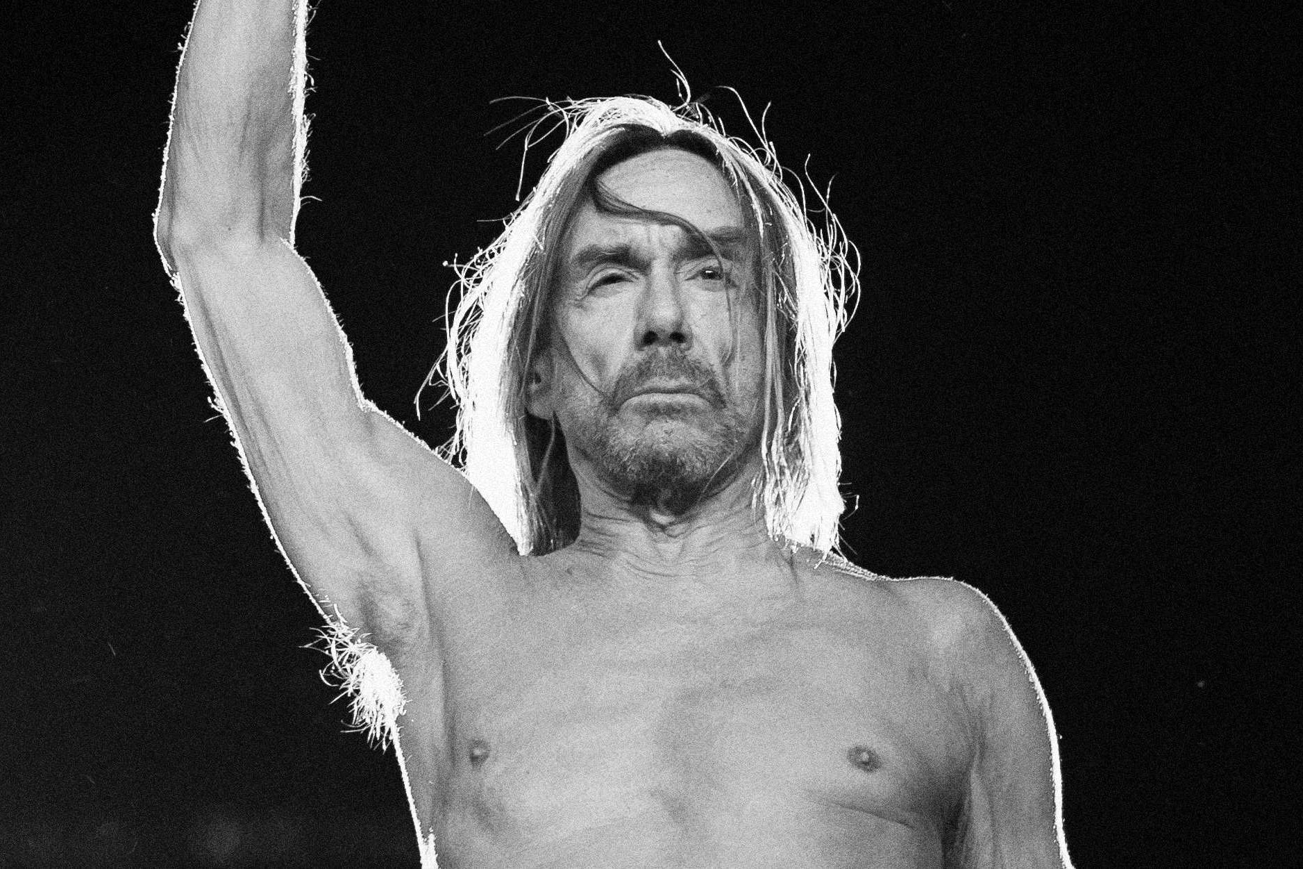 Iggy Pop a Budapest Park jótékonysági akcióját hirdeti