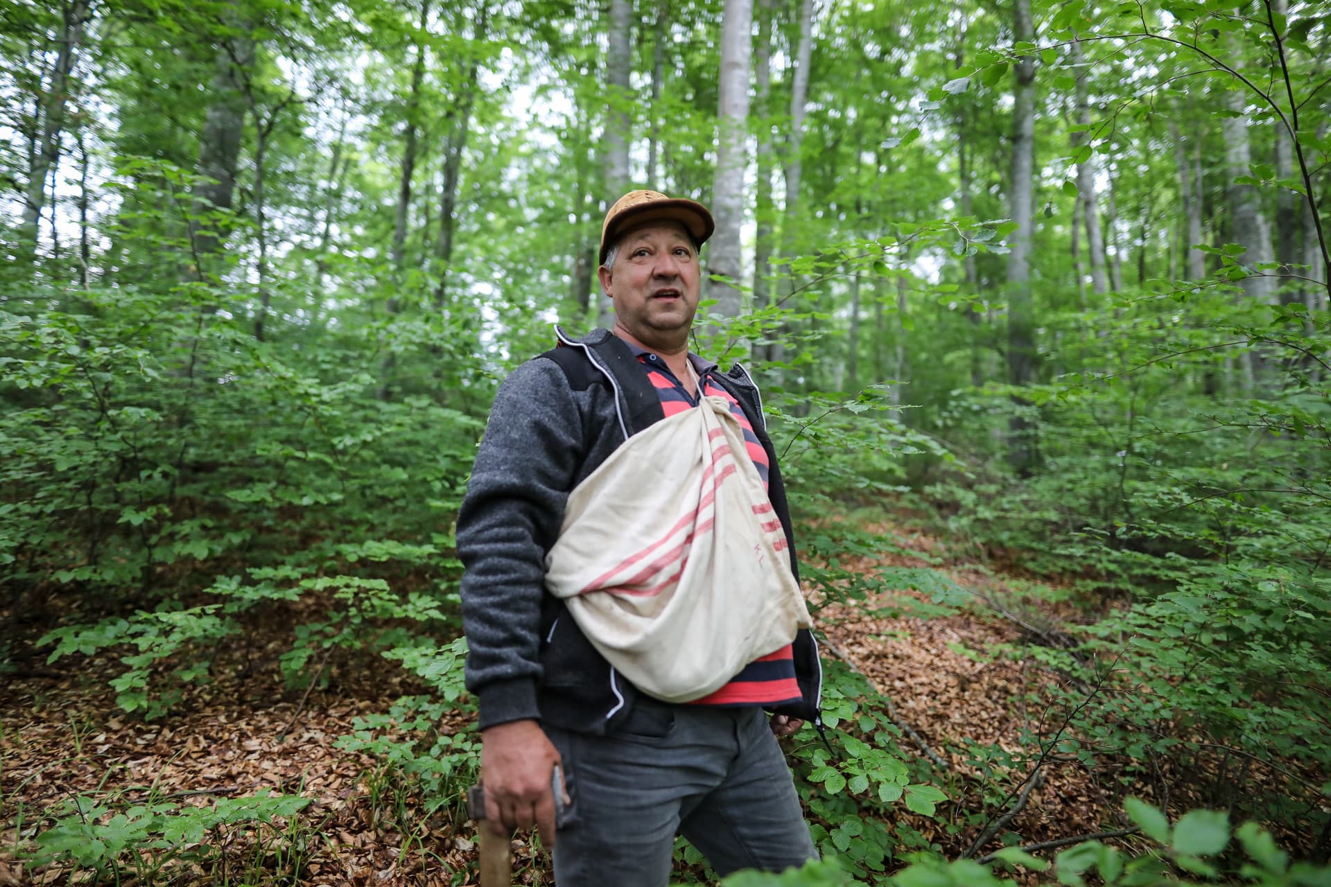 Korondi mohikánok