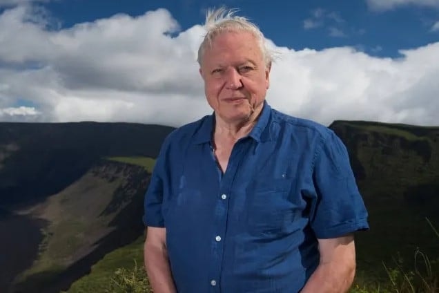 Rangos elismerést kapott David Attenborough
