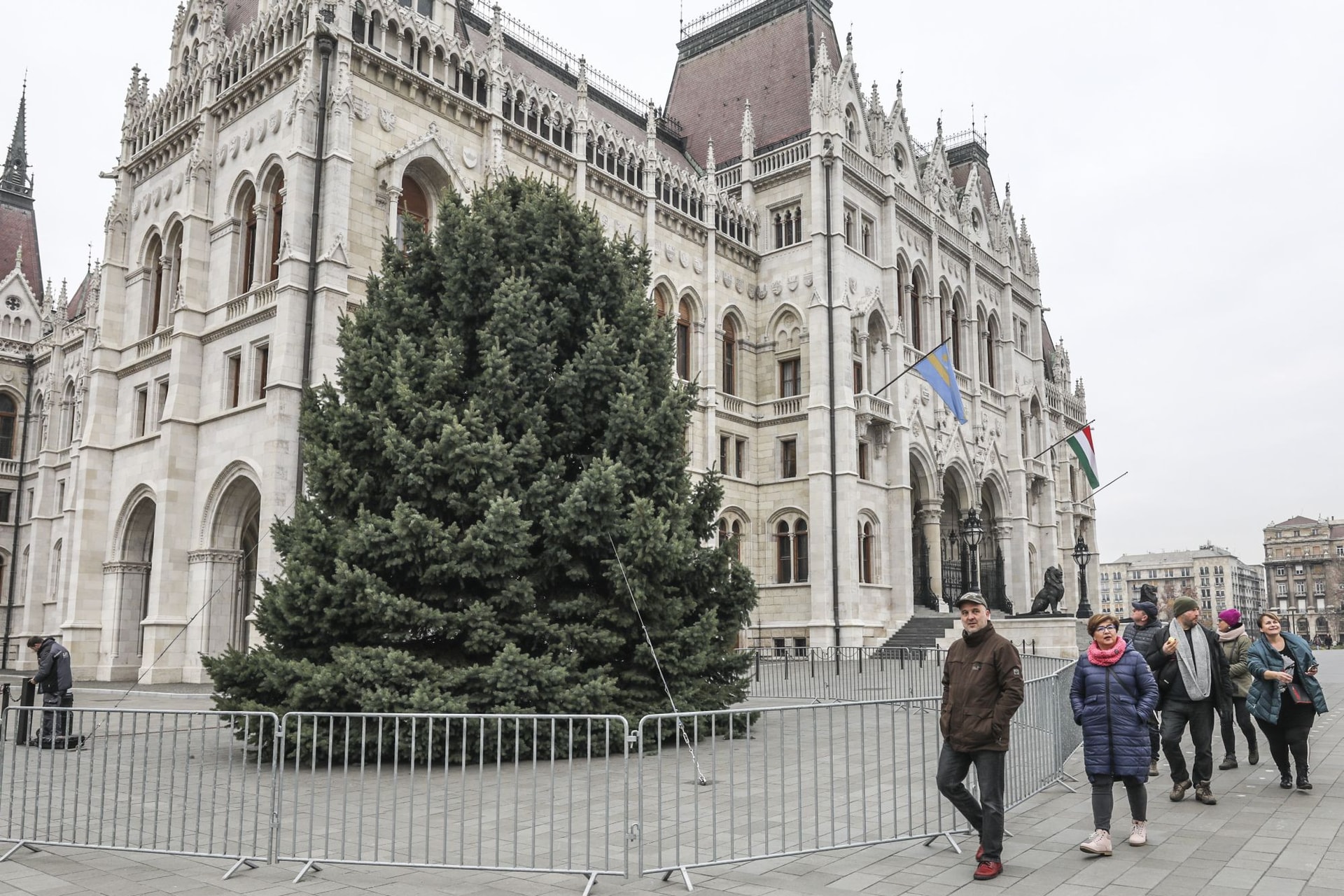 Veszprémből érkezett az ország karácsonyfája