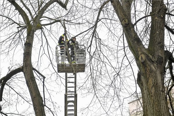 Vihar után: a legtöbb helyen újraindult a vonatközlekedés