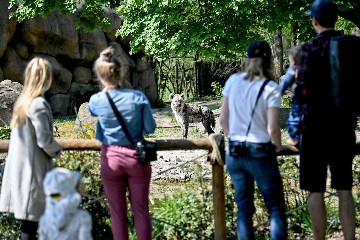 Óvatos nyitások a vírus elleni sakkjátszmában