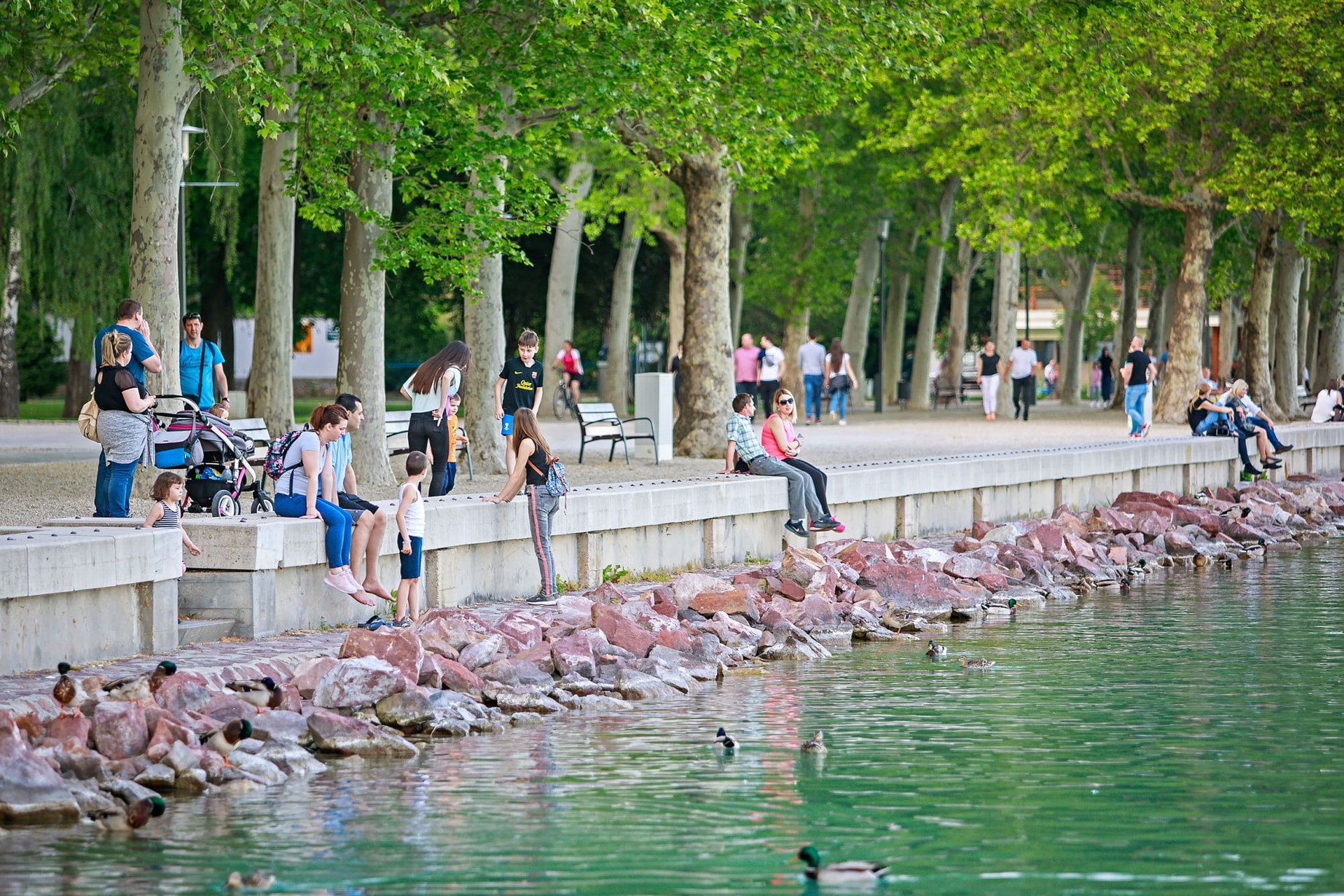 Rekordévre készül Balatonfüred