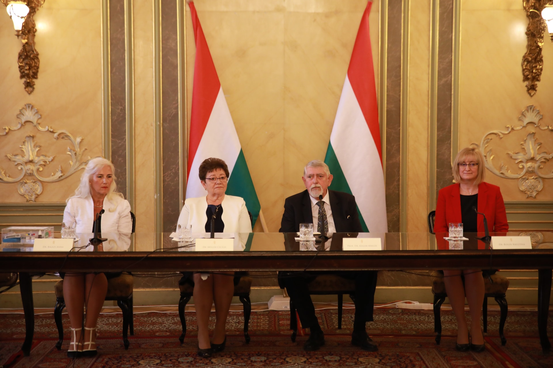 Elkészült az első hazai fejlesztésű Covid-teszt