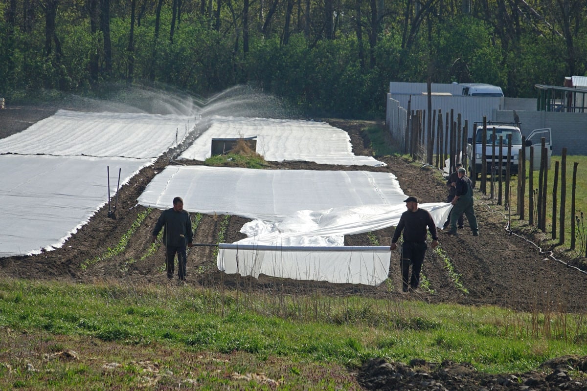 Kezdőcsomag a közös agrárpolitika keretein belül