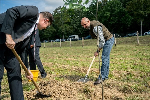 „Erdőt az ültet, aki a jövőre tervez”