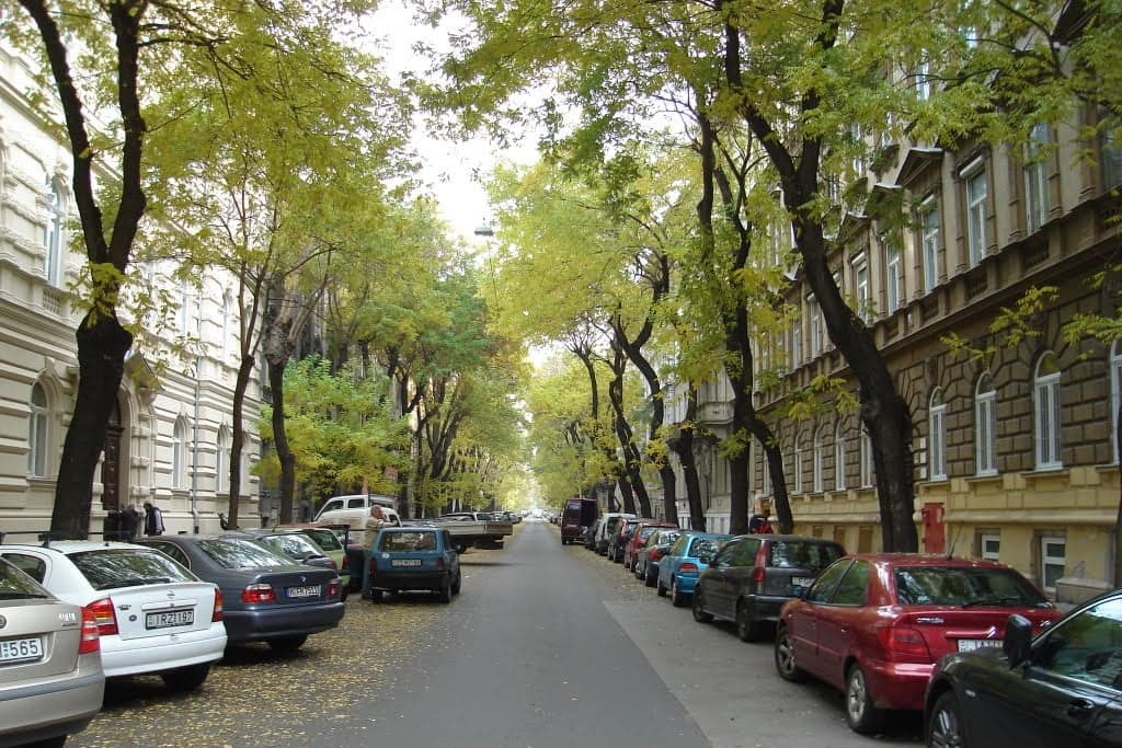 Terézváros baloldali polgármestere 29 fát vágna ki a Benczúr utcában