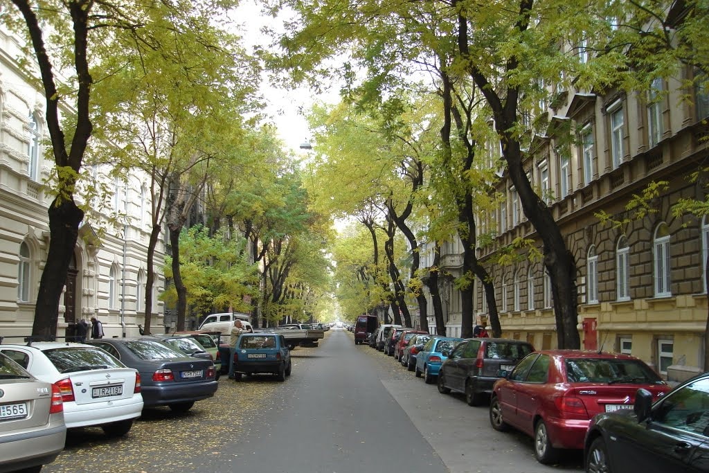 Terézváros baloldali polgármestere 29 fát vágna ki a Benczúr utcában