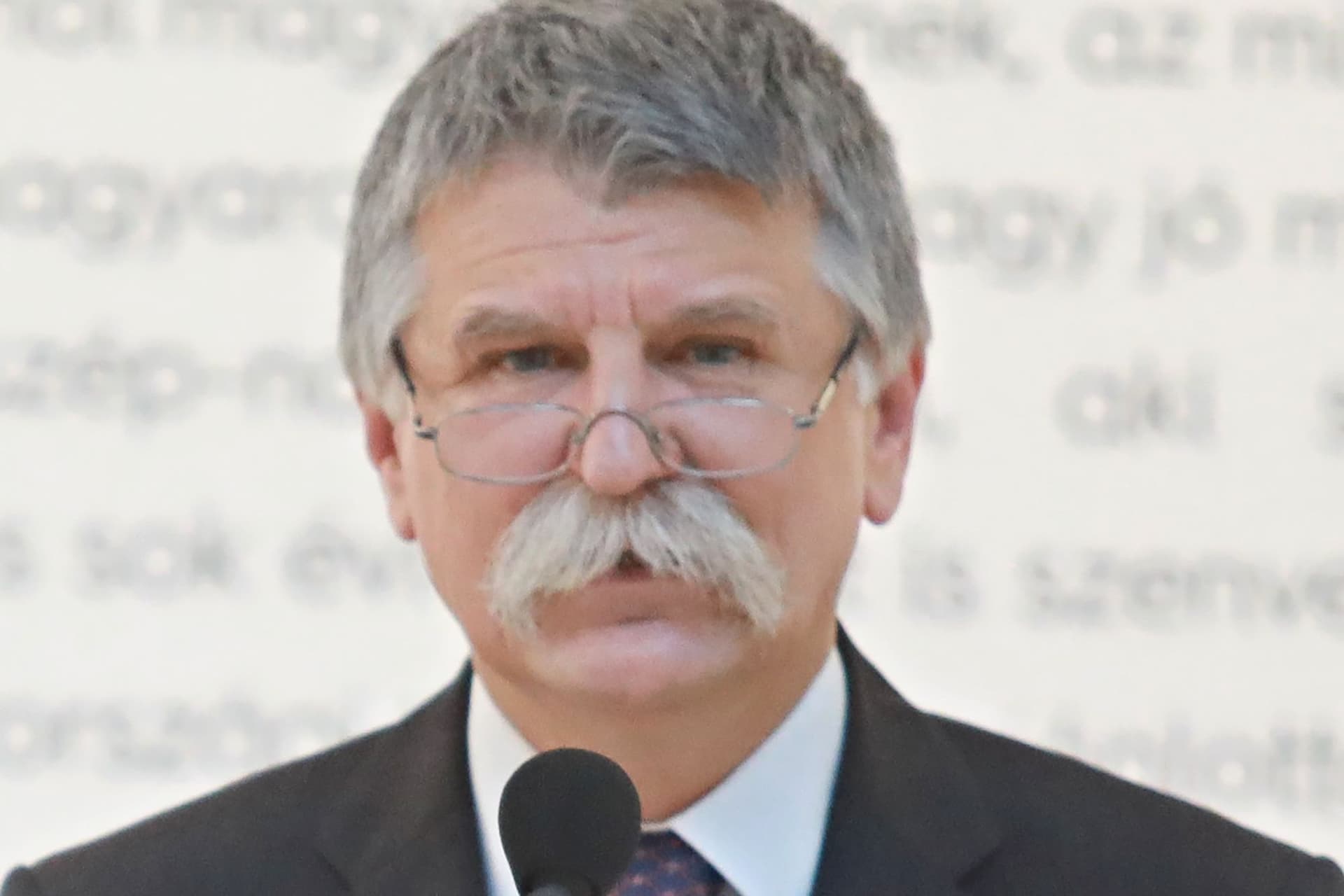Kövér: A magyarok és a lengyelek szabadságvágyukban elválaszthatatlanok