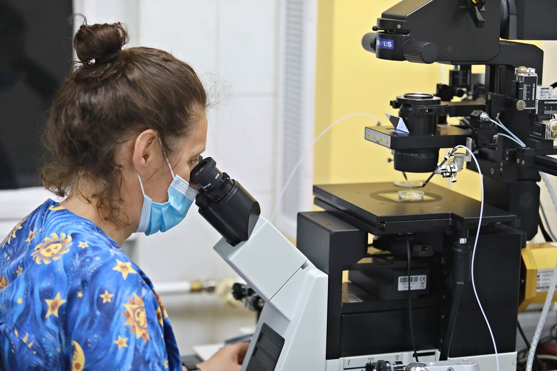 Újabb 140 milliárd forintos támogatás a magyar vállalkozásoknak