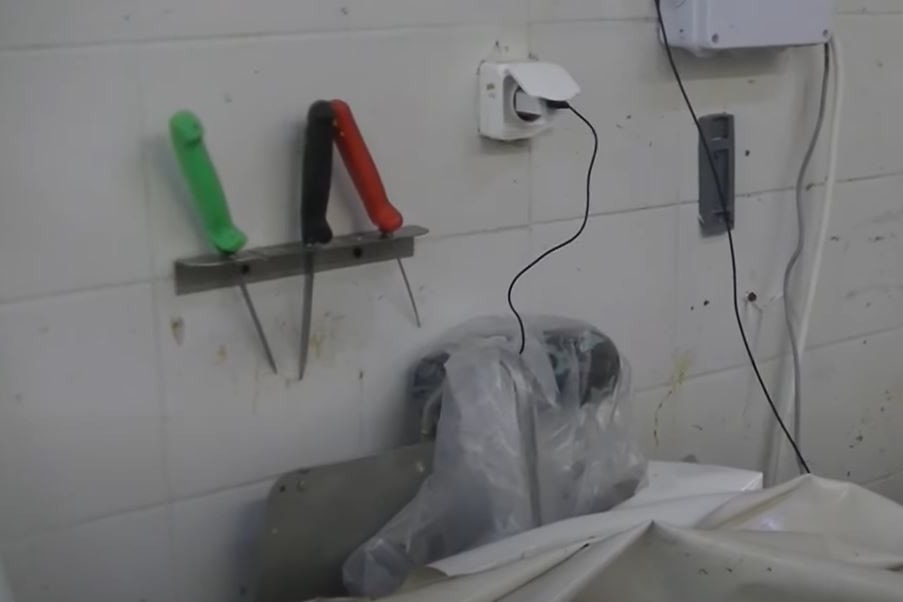 Azonnal bezáratott egy vágóhidat Pest megyében a Nébih