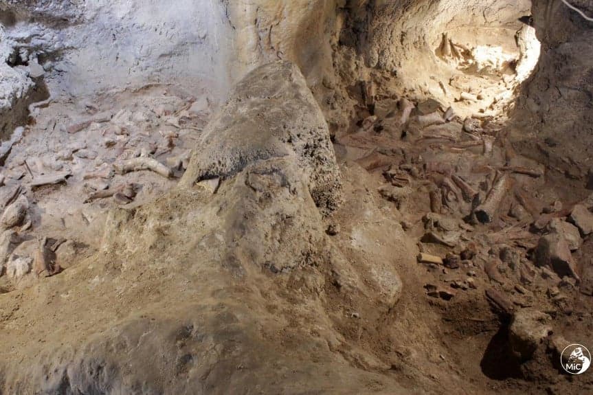 Kilenc neandervölgyi ember maradványát találták meg egy Rómához közeli barlangban