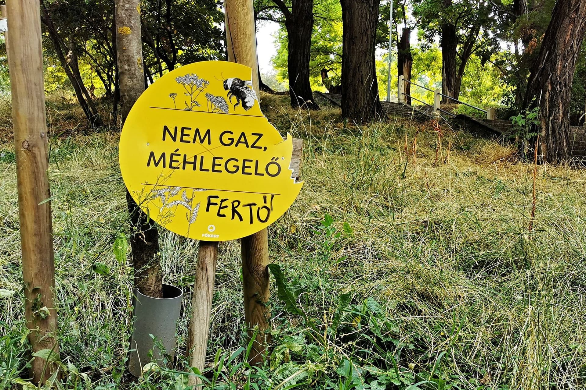 Mindjárt véget ér a Metropol Budapest a gyomok fővárosa fotópályázata
