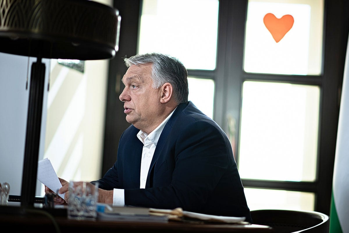 Referendum: őrjöngenek a nyugati balliberálisok