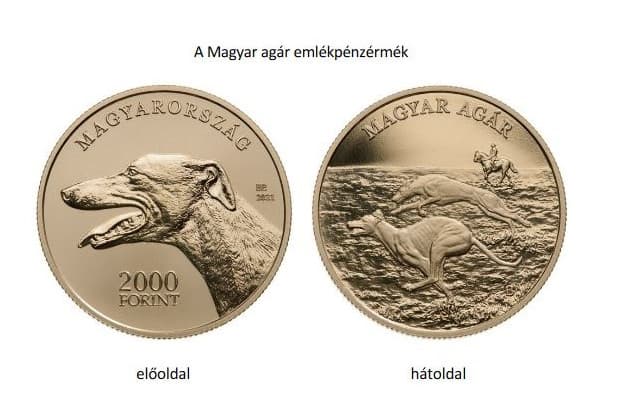 Érmét bocsátott ki az MNB az Állatok Világnapján