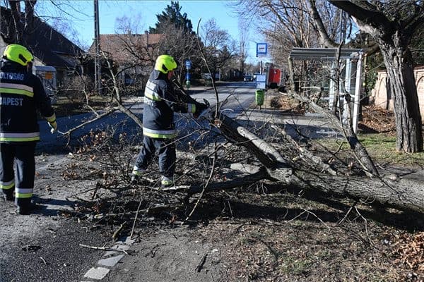 Vasútvonalak és autópálya-pihenő működését is akadályozzák kidőlt fák