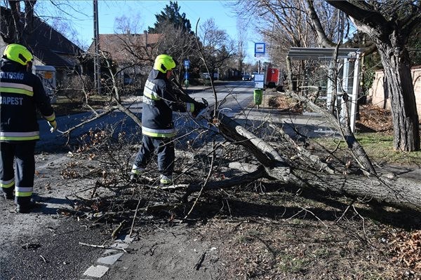 Vasútvonalak és autópálya-pihenő működését is akadályozzák kidőlt fák