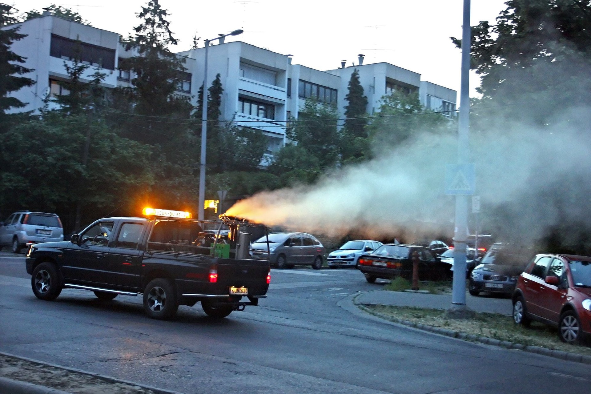 A sok eső sok szúnyogot is hoz magával