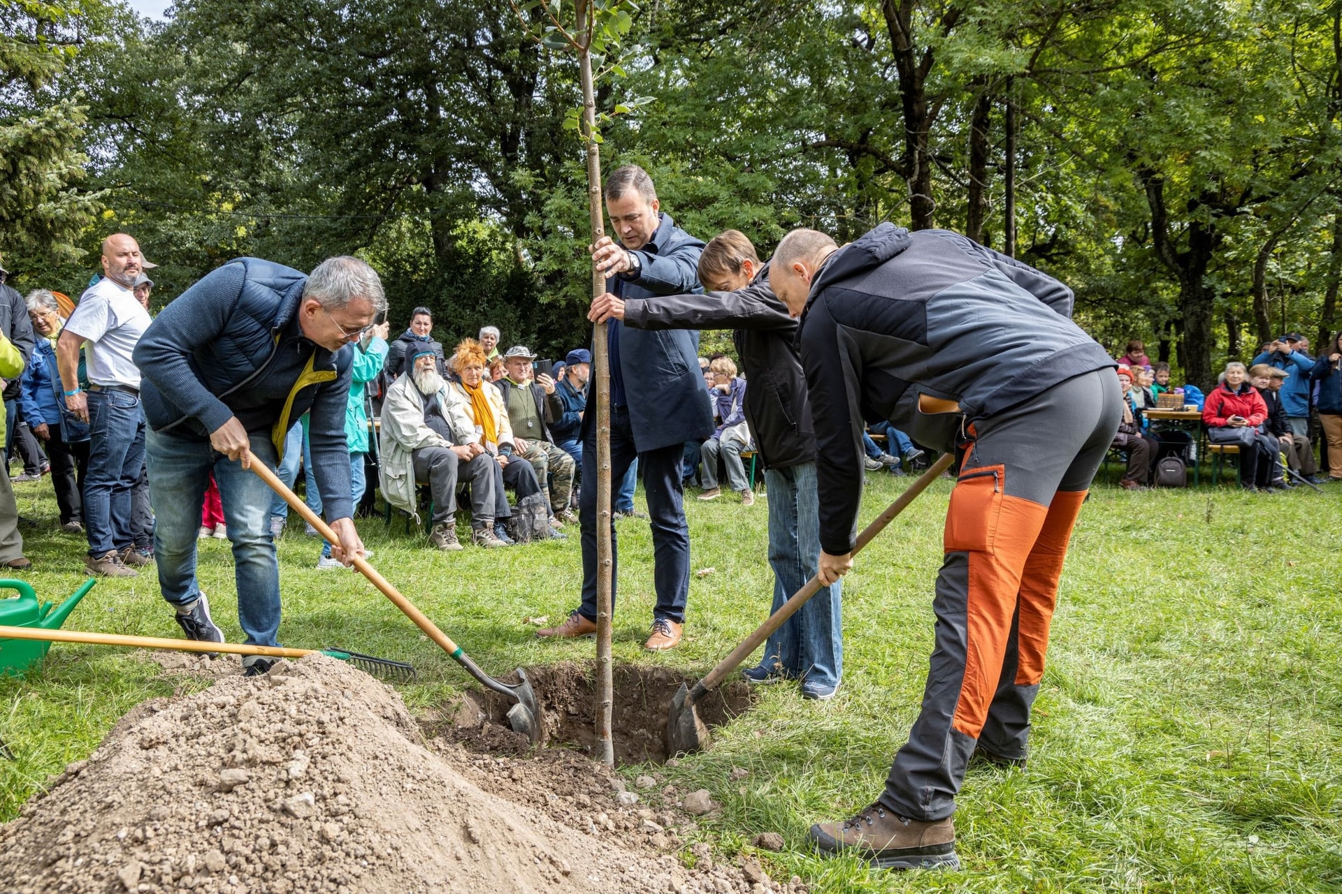 A magyarok támogatják a természet helyreállításáról szóló törvényt
