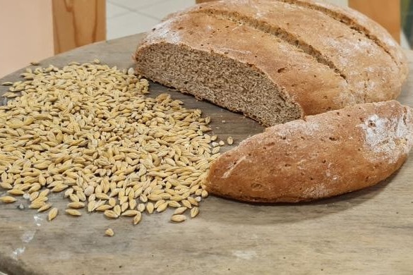 Az élelmezésbiztonság a globális béke alappillére