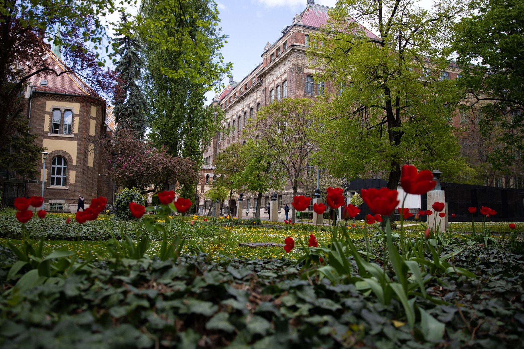 Átadták a Pécsi Eszter Tanári Díjakat Budapesten
