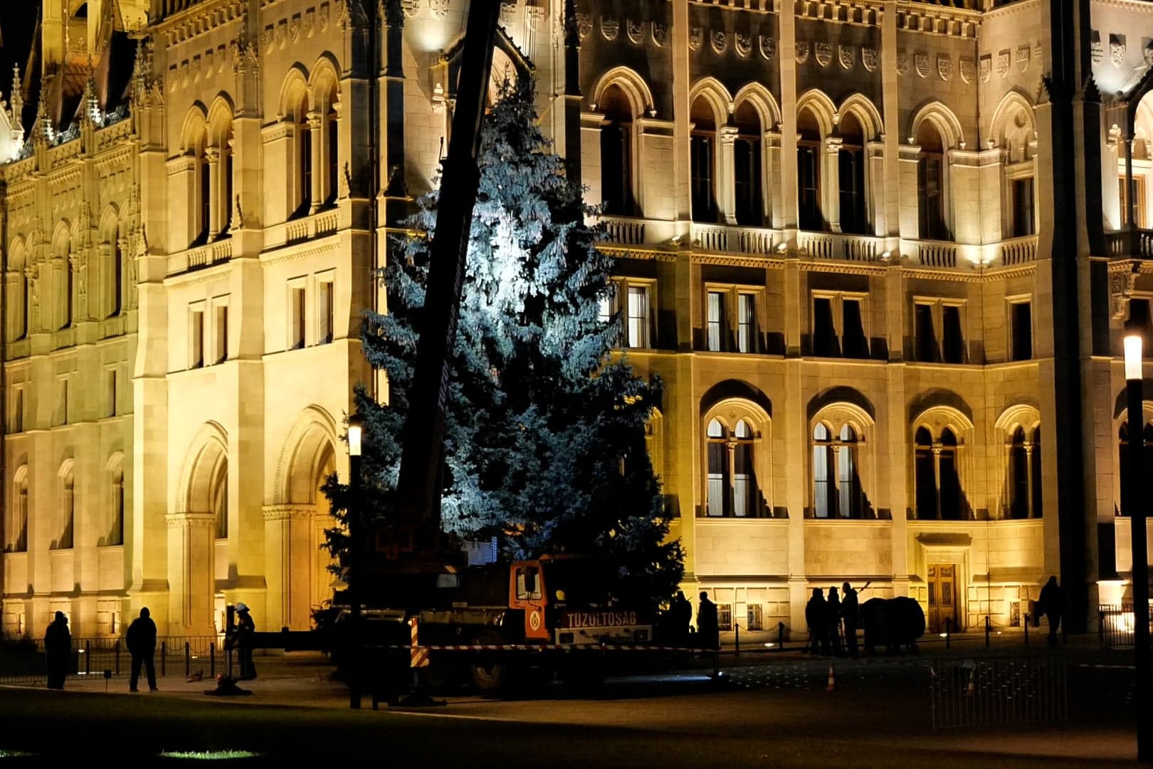 Egy hajdúsági fenyőfa lesz idén az ország karácsonyfája