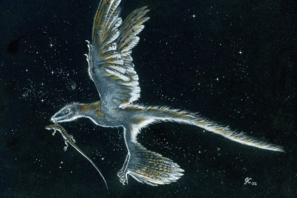 Döbbenetes, ami megmaradt a dinoszauruszból