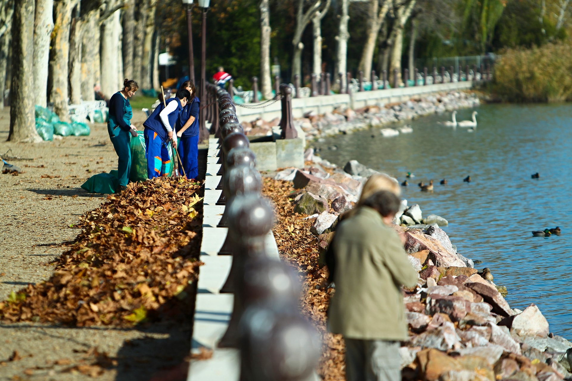 Eltévedt egy vonat úton a Balatonhoz
