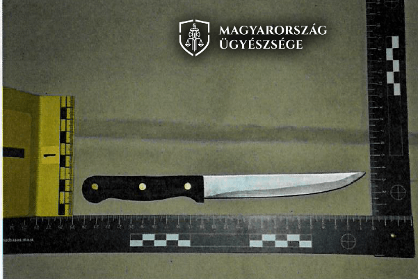 Késsel szúrta meg a férfiakat